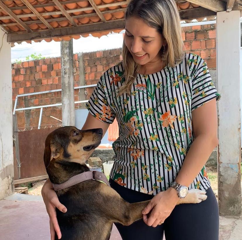 Doação de alimentos para animais de rua é aprovada na Câmara Municipal de Fortaleza