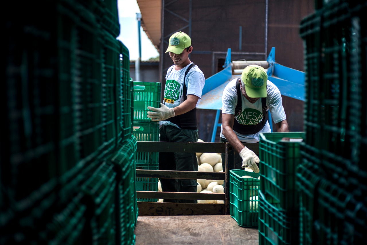 Mesa Brasil distribui oito mil cestas básicas. Cerca de 45 mil pessoas serão beneficiadas