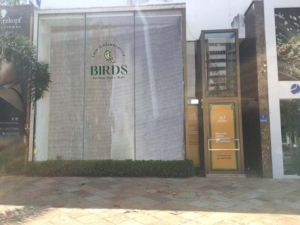 BIRDS: loja colaborativa do Jardins Open Mall aposta na união de 14 marcas de âmbito local e nacional