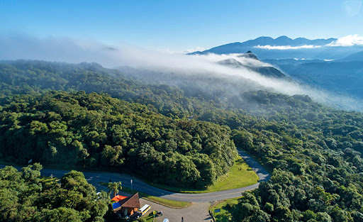 Conservathon desafia criatividade em soluções para a proteção da Mata Atlântica