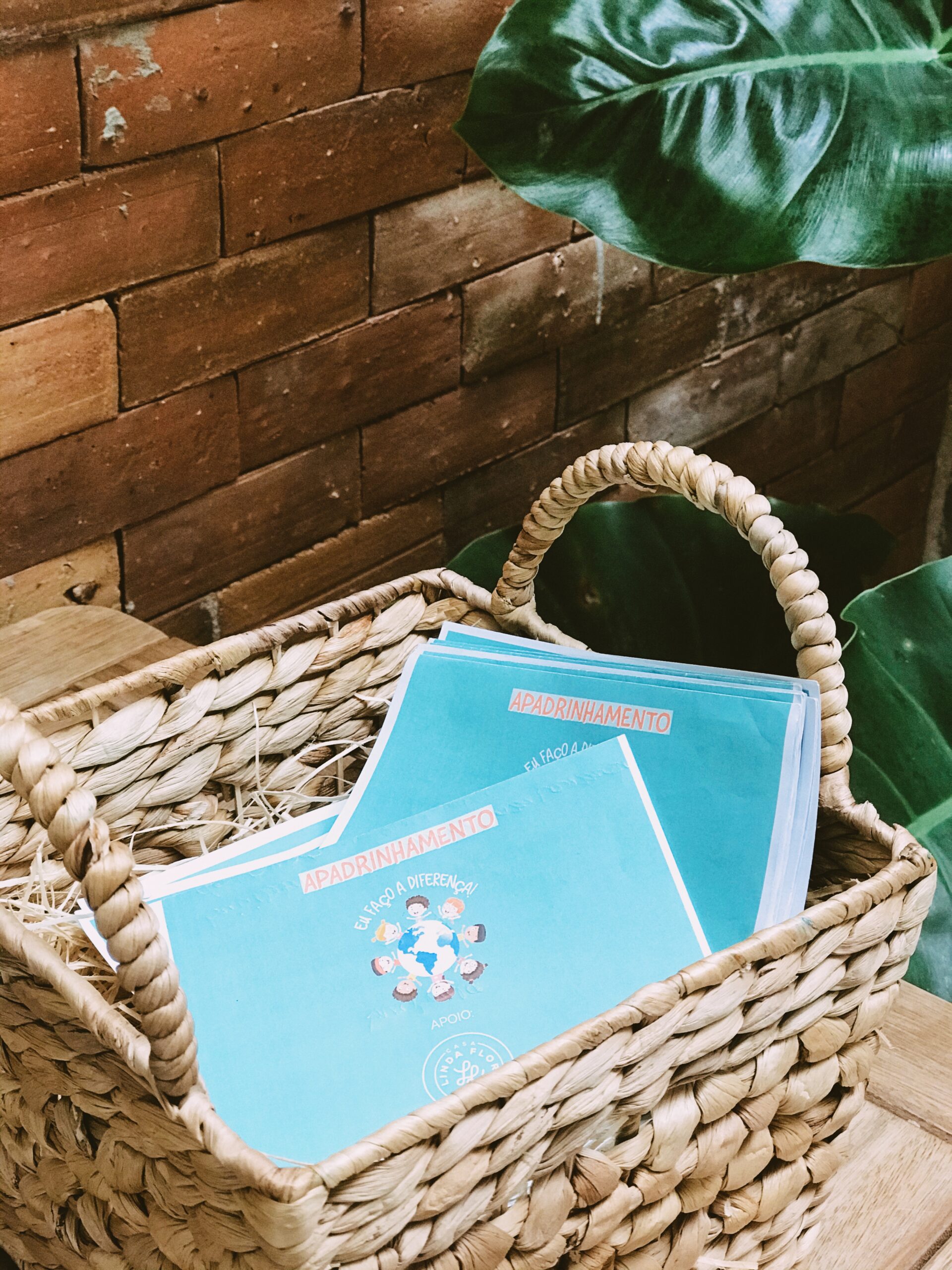 Casa Linda Flor realiza campanha para apadrinhamento de cartas de Natal