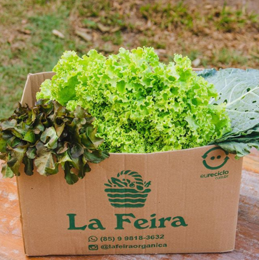 Da plantação à mesa: La Feira explica o processo produtivo dos alimentos orgânicos do empreendimento
