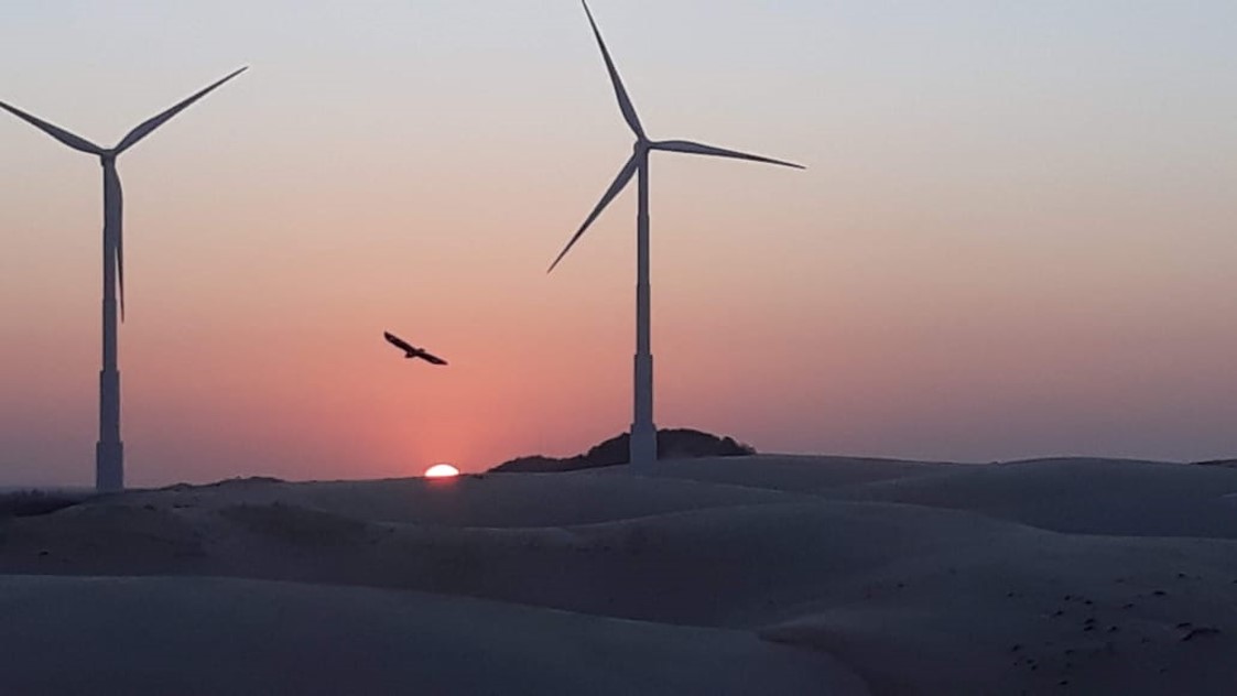 Estudantes e escola do Ceará são premiados no Concurso Arte com Energia 2021