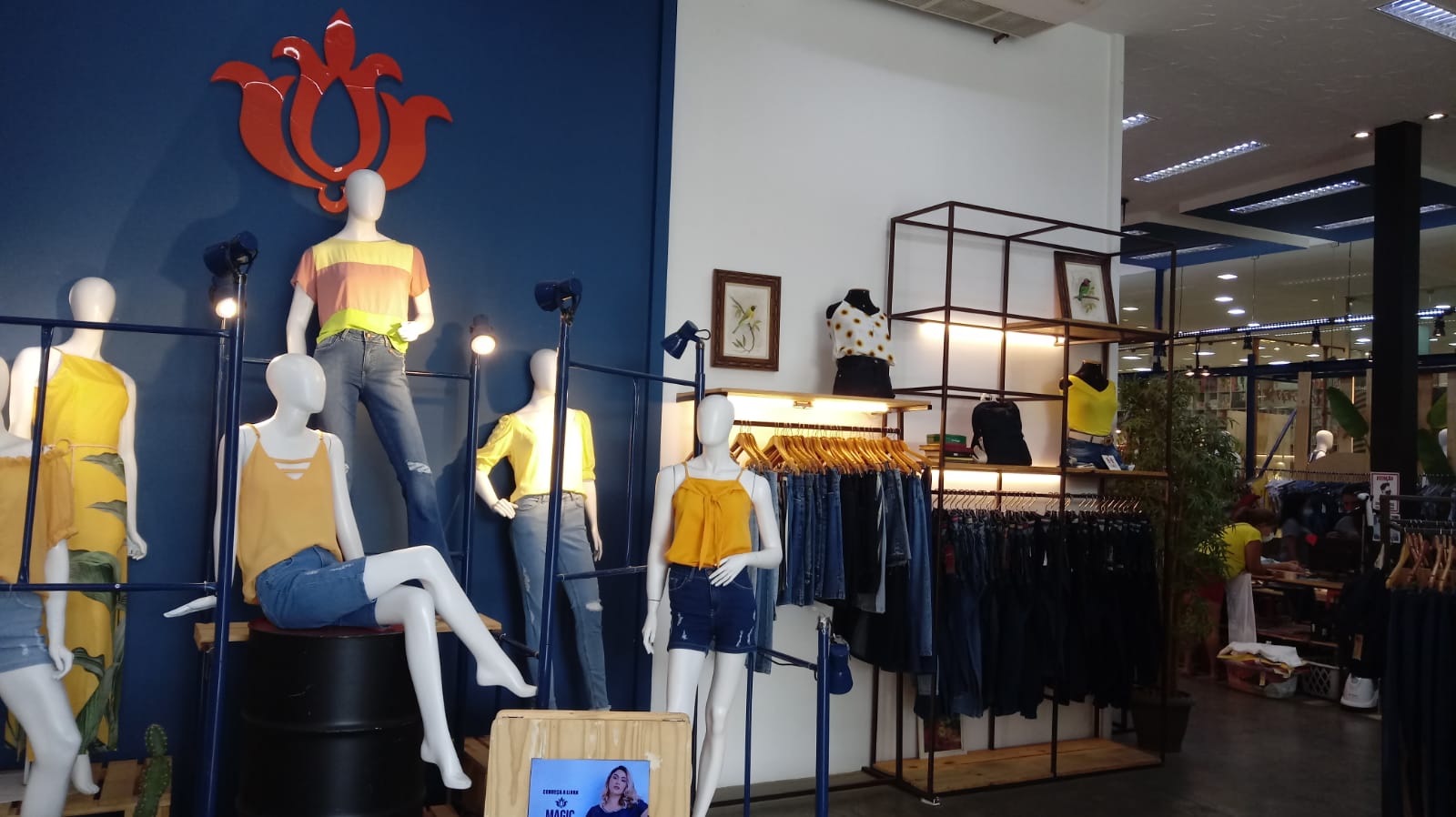 Handara cresce 40% em vendas no primeiro semestre de 2021