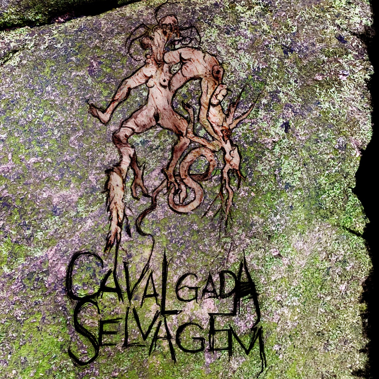 Porto Iracema das Artes realiza exibição do espetáculo de dança “Cavalgada Selvagem” seguida de conversa com artistas