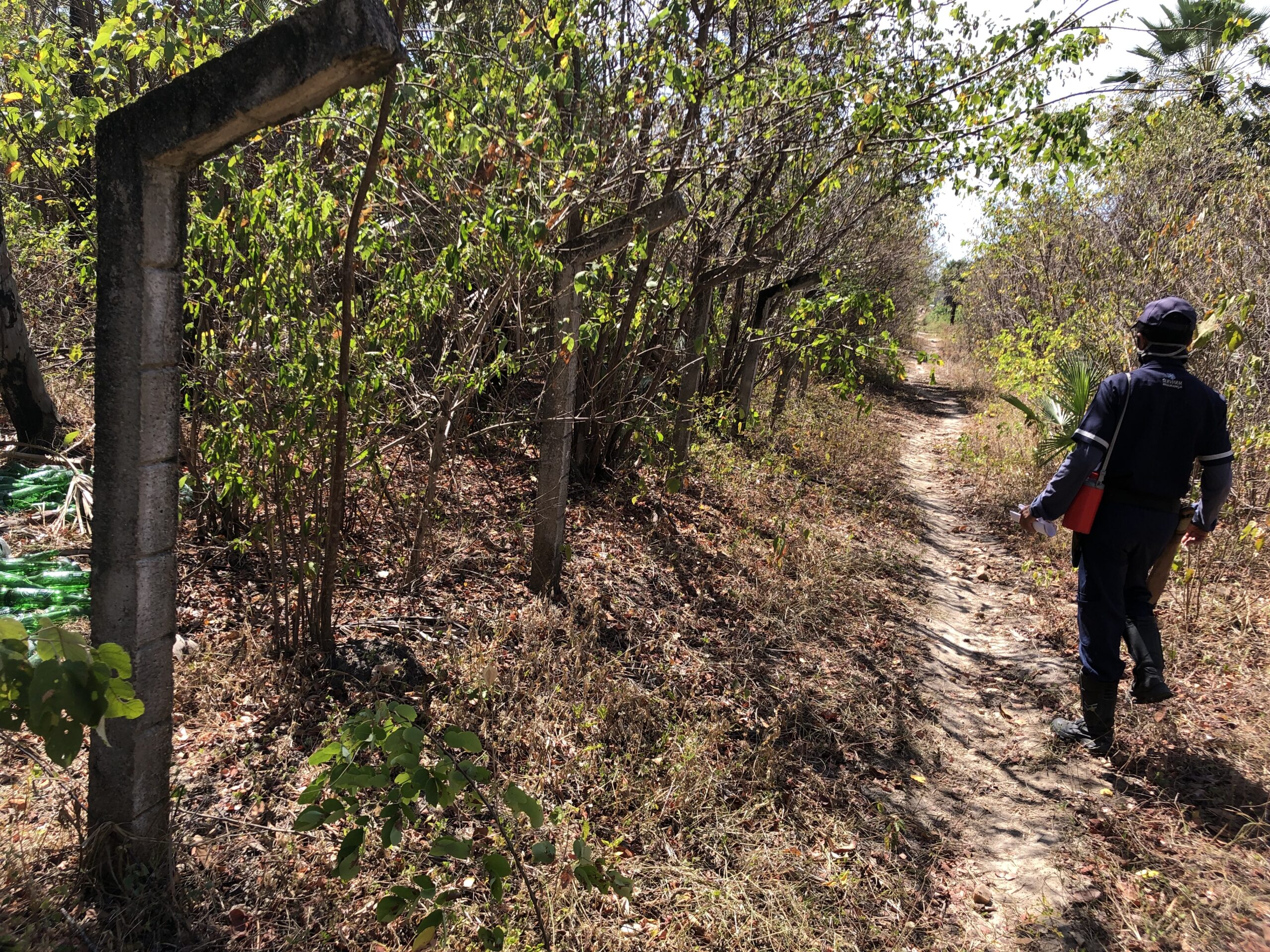 Associação Caatinga e CoBAP firmam parceria para reflorestar Unidade de Conservação em Maracanaú