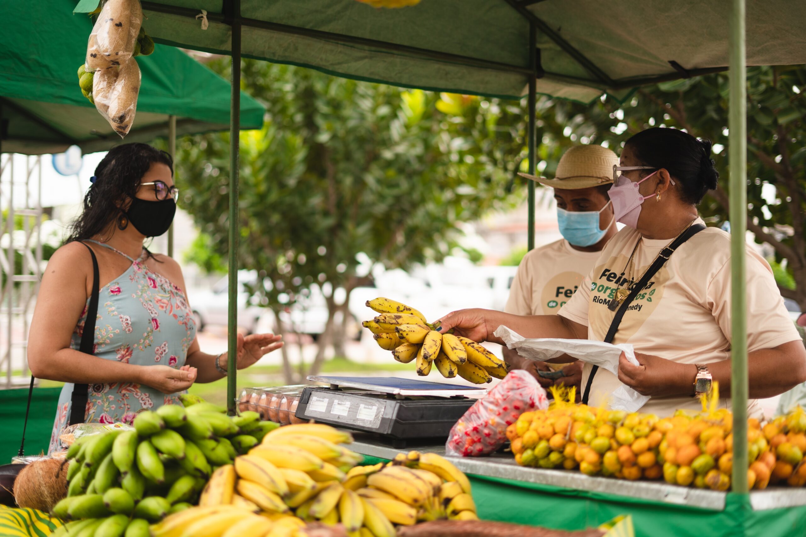 Feirinha de Orgânicos oferece produtos frescos de pequenos agricultores do Ceará