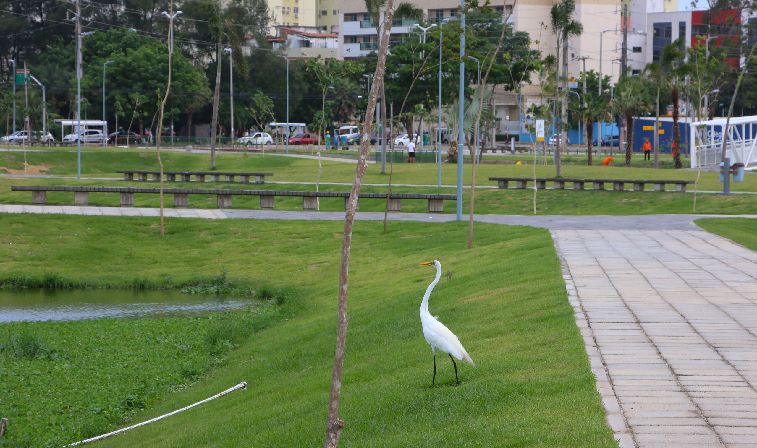 Ciclofaixa de Lazer celebra o Dia Mundial do Meio Ambiente com atividades no Parque Rachel de Queiroz