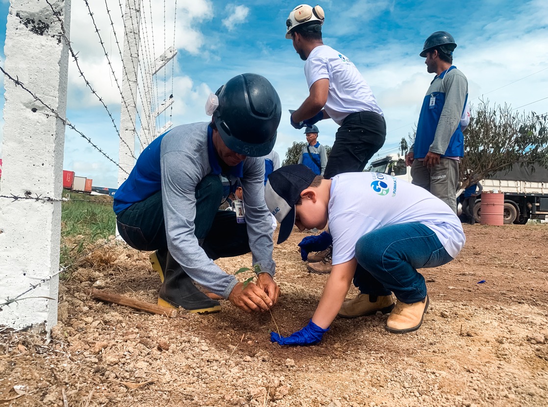 Meio Ambiente: Floraplac realiza ações na comunidade com foco na sustentabilidade