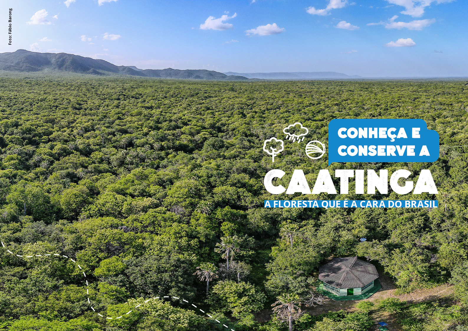 Associação Caatinga lança edição digital atualizada da cartilha “Conheça e Conserve a Caatinga: A Floresta que é a cara do Brasil”  