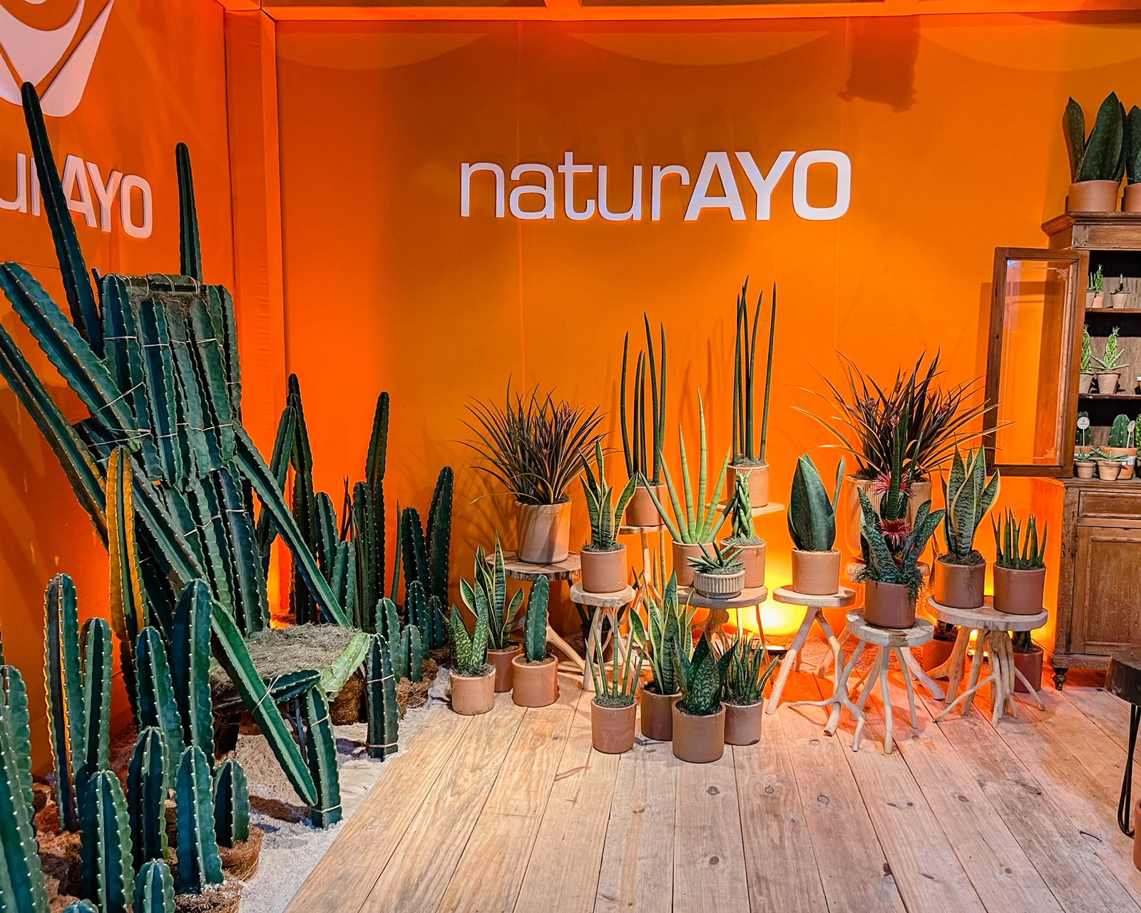 Em São Paulo, NaturAyo é destaque nas feiras Enflor e Garden Fair, de floricultura e paisagismo