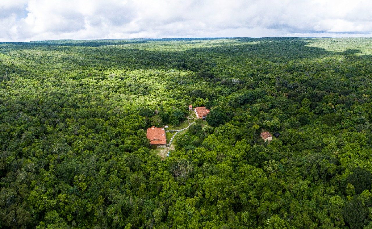 Dia de combate à poluição: Associação Caatinga reforça a importância da preservação do bioma