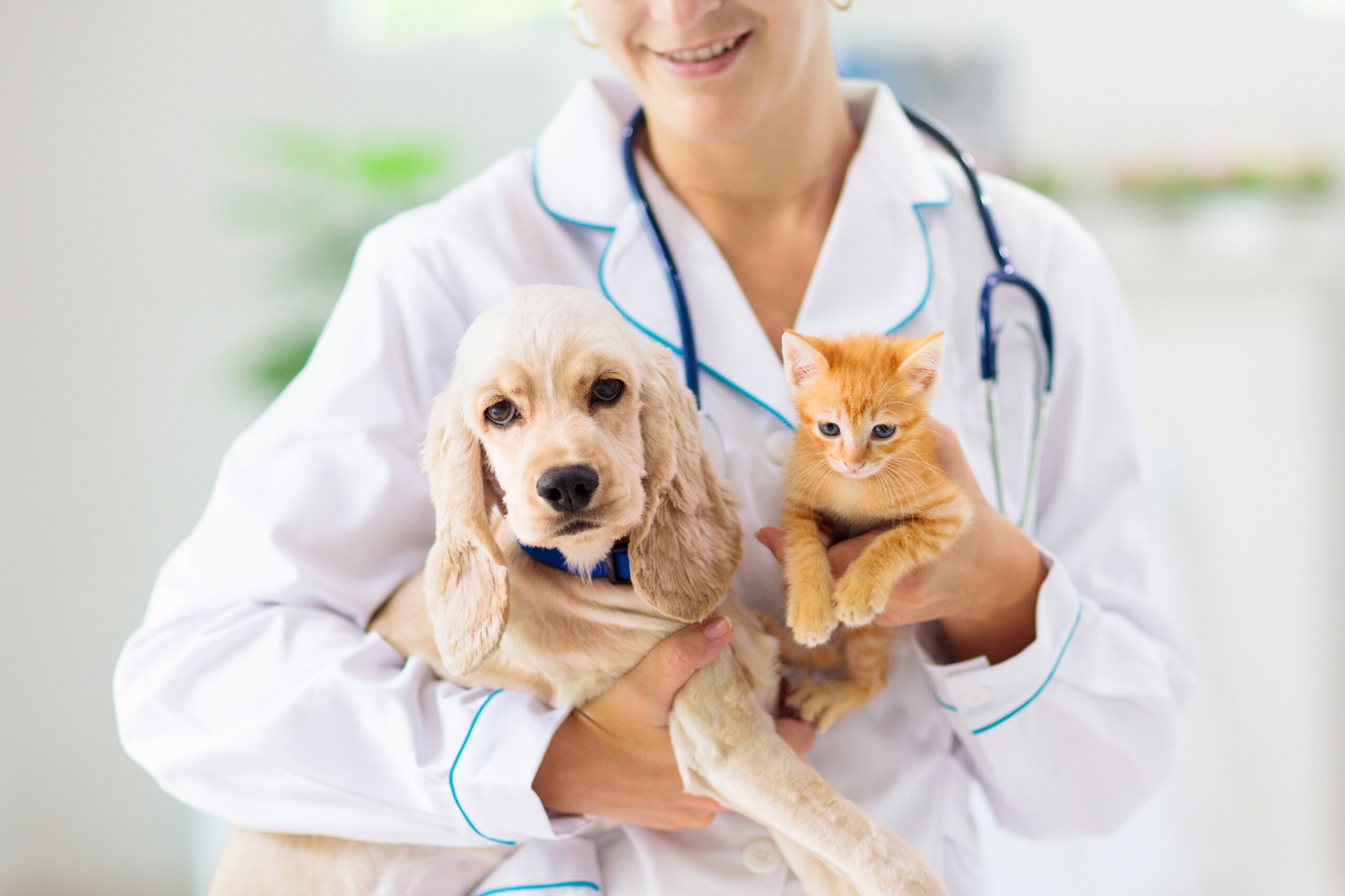 Estácio Ceará realiza o I Encontro de Medicina Veterinária na Unidade Via Corpvs