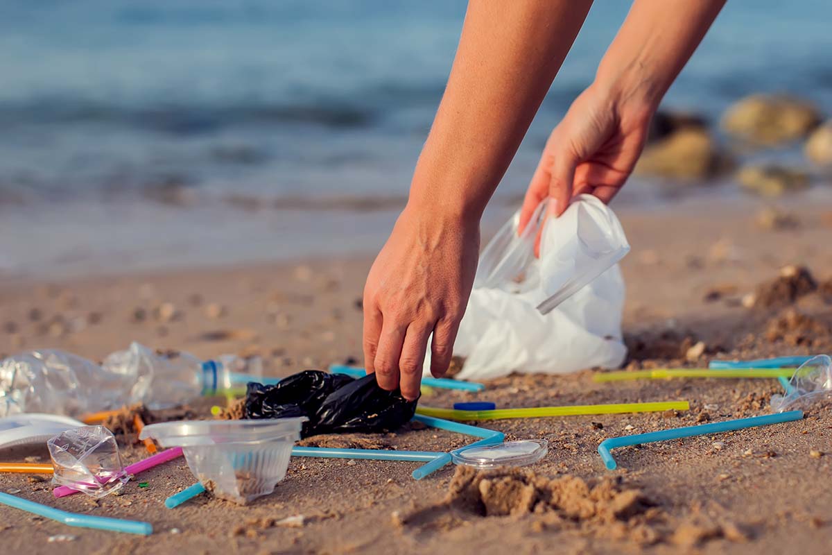 Estudantes e professores promovem mutirão de limpeza na Praia do Futuro no próximo sábado (24)