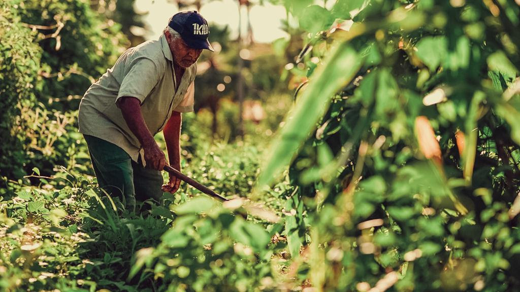 Uruoca, no semiárido cearense, fortalece a agricultura familiar e produz cerca de 4 mil toneladas de alimentos em 2021