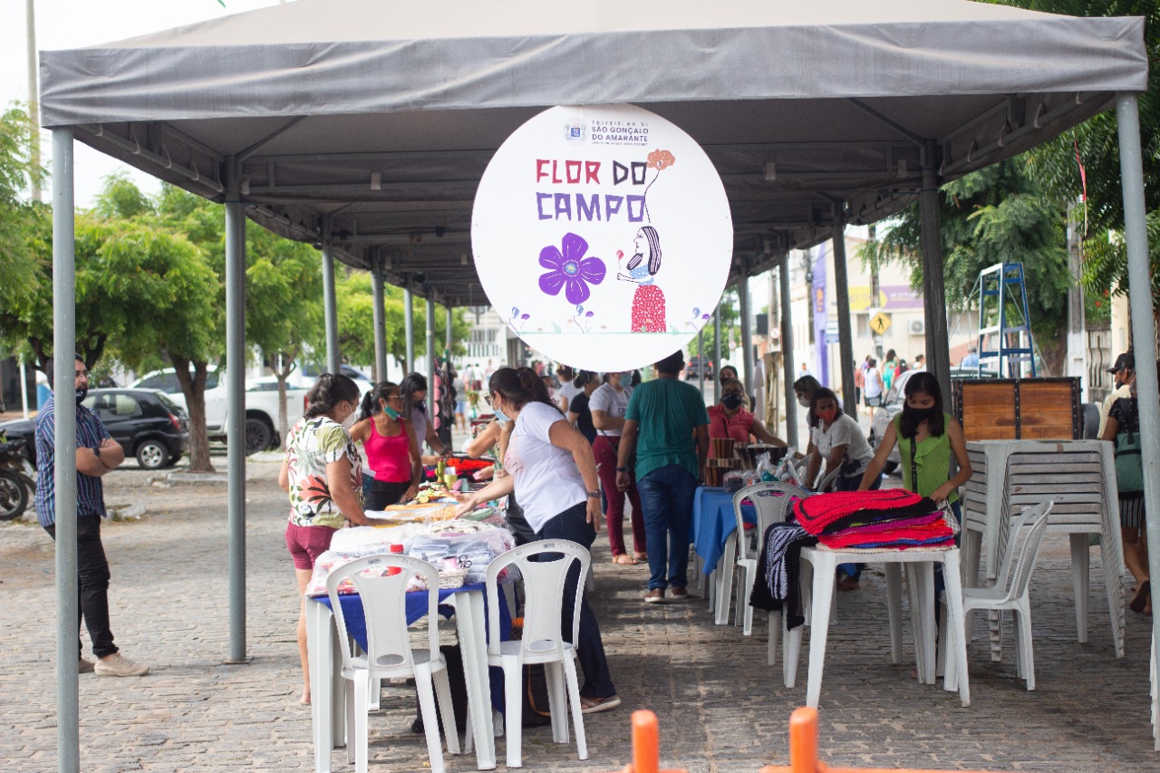 Com empreendedorismo feminino e formação profissional, Programa Flor do Campo comemora 1 ano de atuação