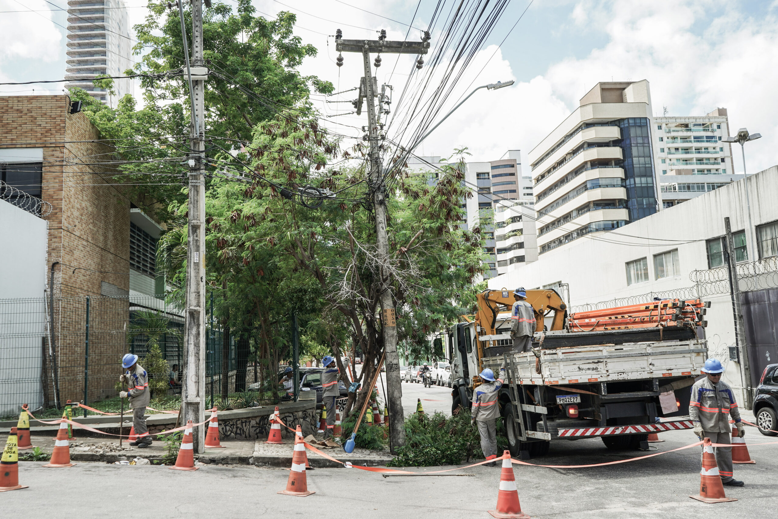 Enel Ceará investe R$ 38 milhões e poda mais de 380 mil árvores em todo o estado