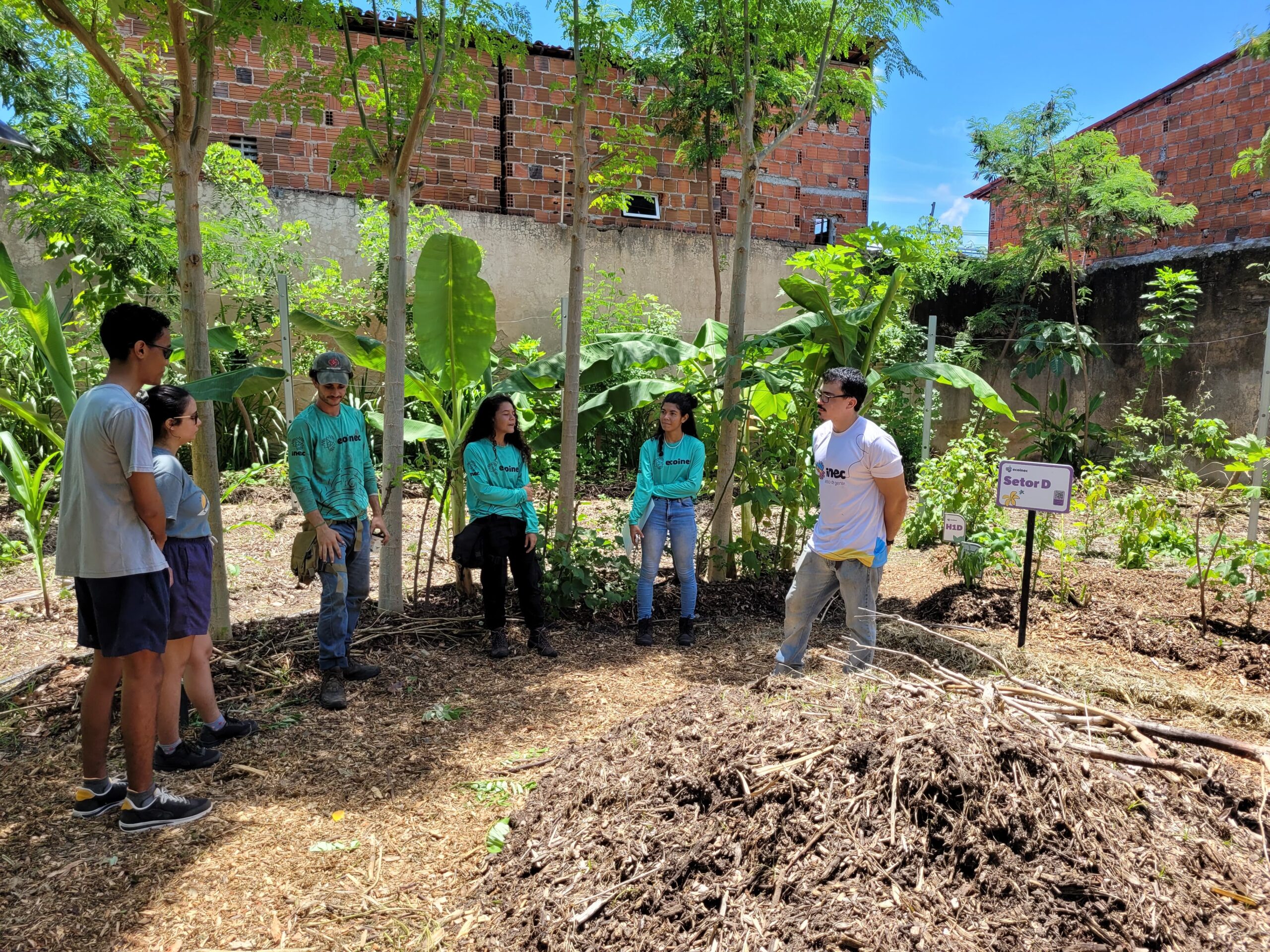 Ecoinec é aprovado para o Projeto Salas Verdes do Ministério do Meio Ambiente