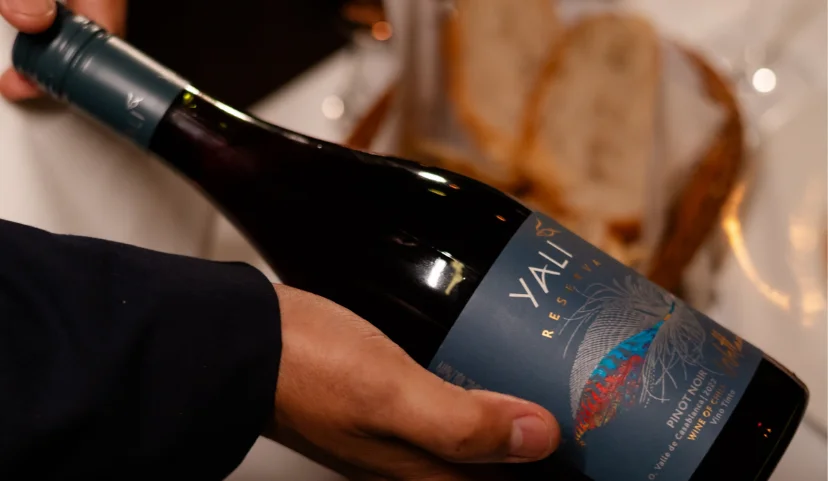 La Bella Italia apresenta nova carta de vinhos com rótulos de diversas partes do mundo