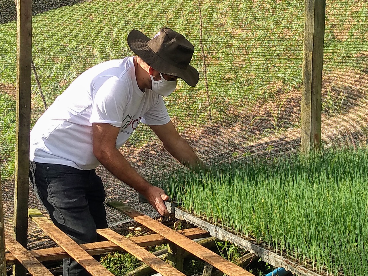 Projeto Do Chão Maciço amplia atendimento ao cliente com lançamento do Mercadinho Agroecológico do Maciço