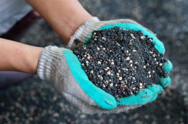 Especialista explica funções dos fertilizantes e maneira correta de aplicá-los nas plantas