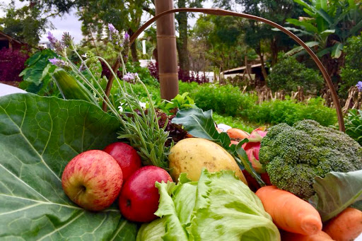 Consumo de alimentos orgânicos cresce mais de 50% no Brasil