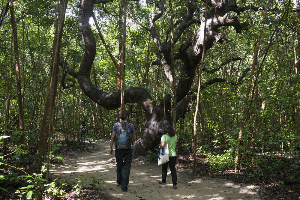 Sesc Iparana Hotel Ecológico abre vagas gratuitas para projeto socioambiental