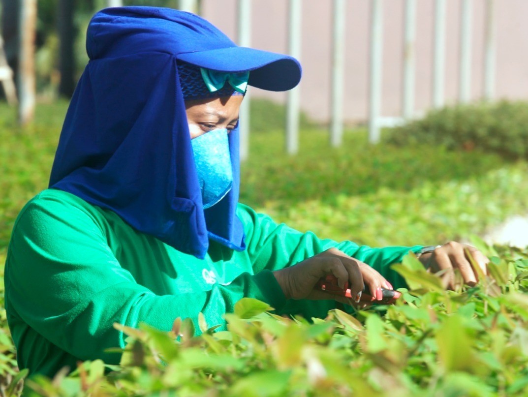Floraplac fortalece responsabilidade ambiental na produção de MDF