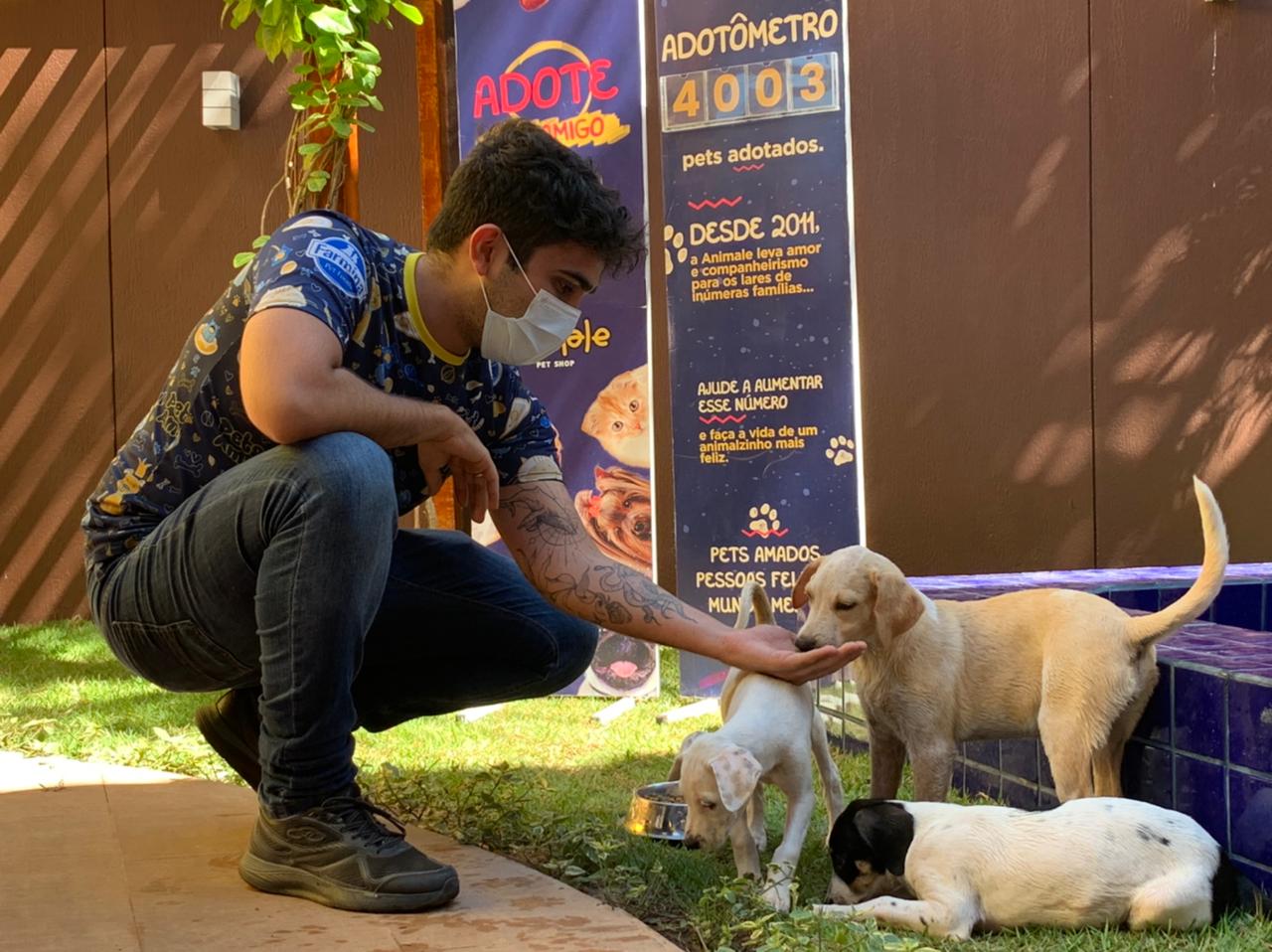 Jardim de Adoção: projeto cearense enfrenta “epidemia do abandono” e chega a marca de mais de quatro mil pets em seu “adotômetro”