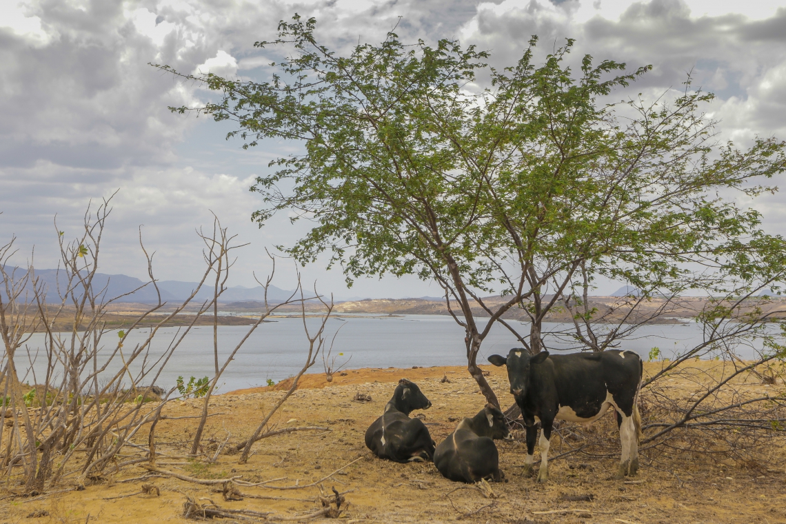 Governo federal reconhece situação de emergência em dez cidades do País por desastres naturais