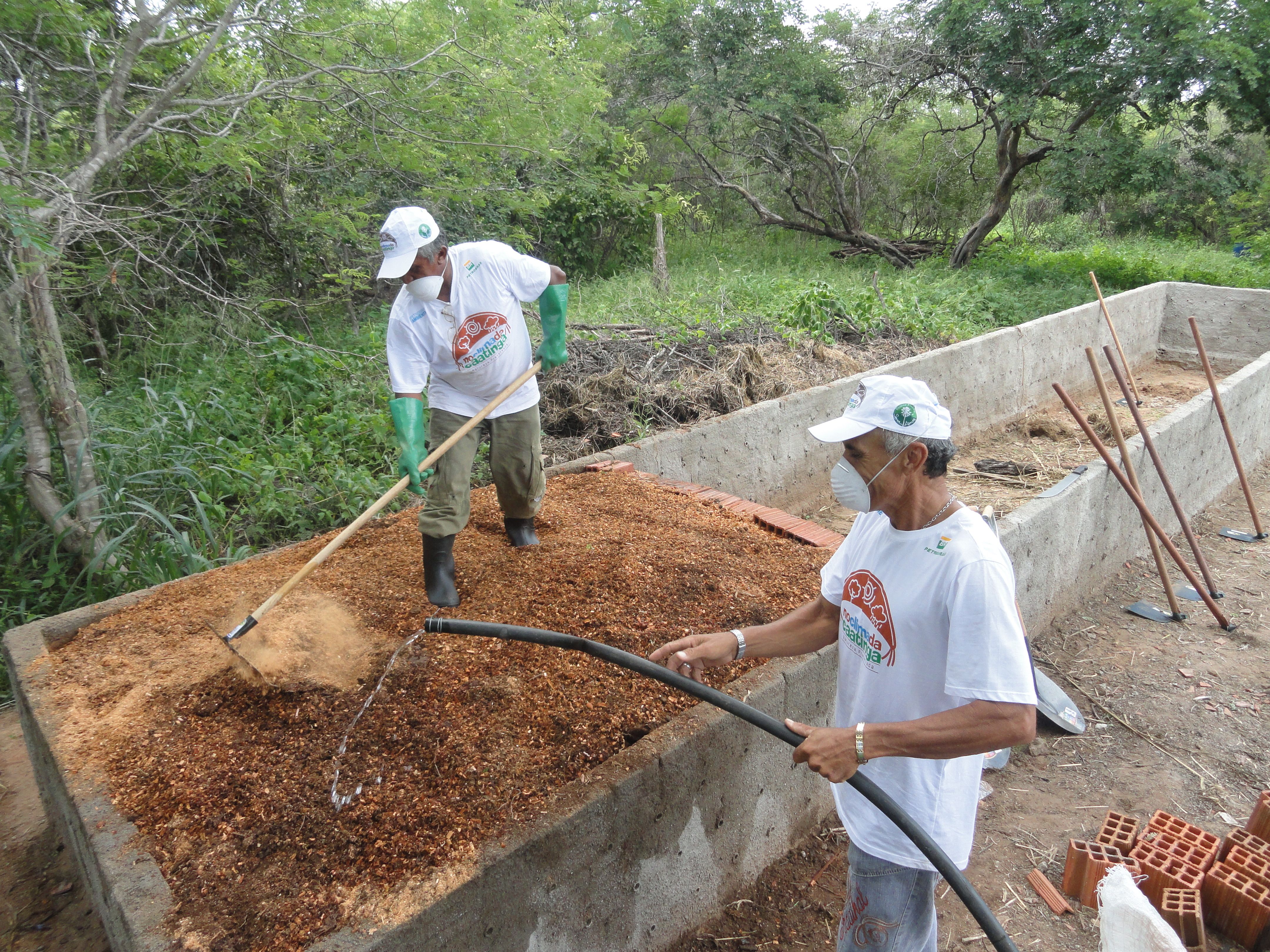 No Clima da Caatinga: projeto inicia nova fase de conservação do semiárido com patrocínio da Petrobras