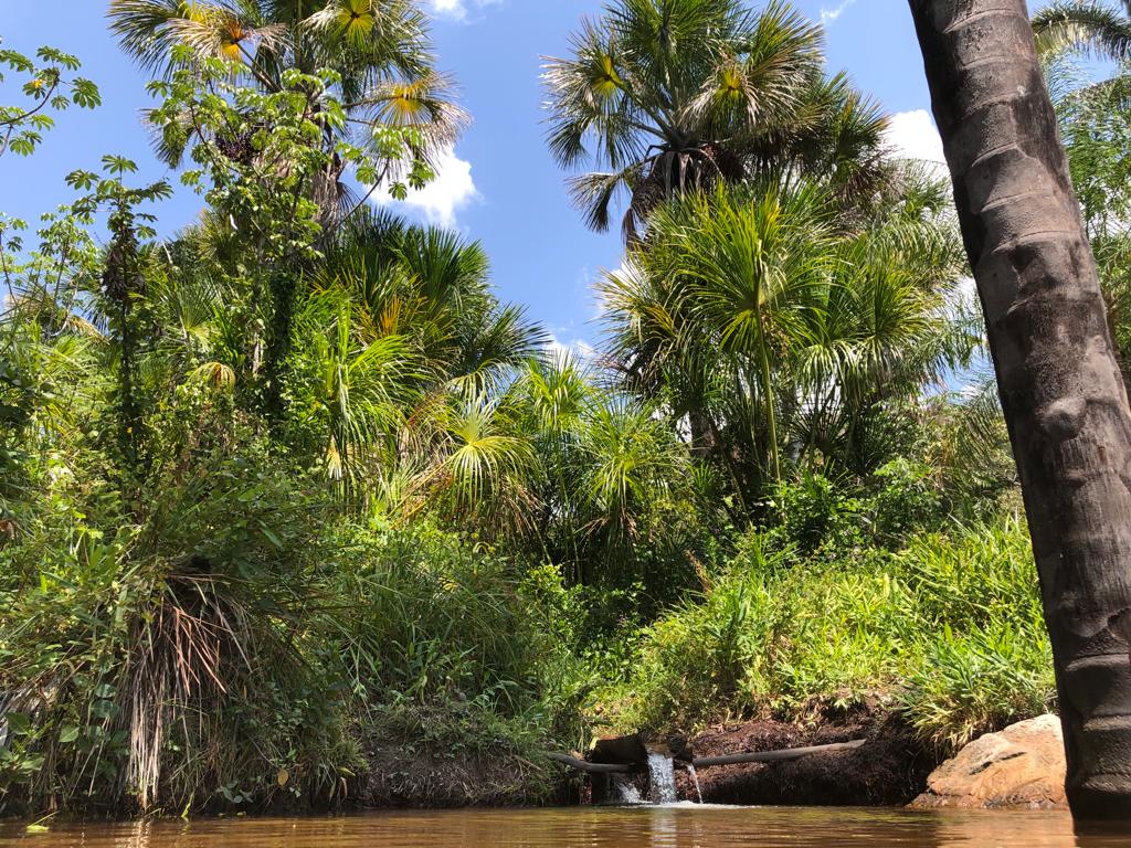 No Clima da Caatinga: projeto celebra Dia Nacional das Reservas Particulares Patrimônio Natural