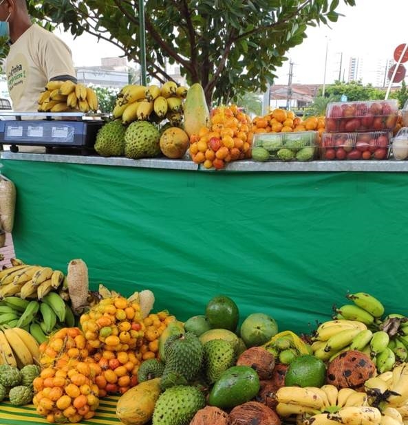 Sábado (29) tem feira de produtos orgânicos no RioMar Kennedy