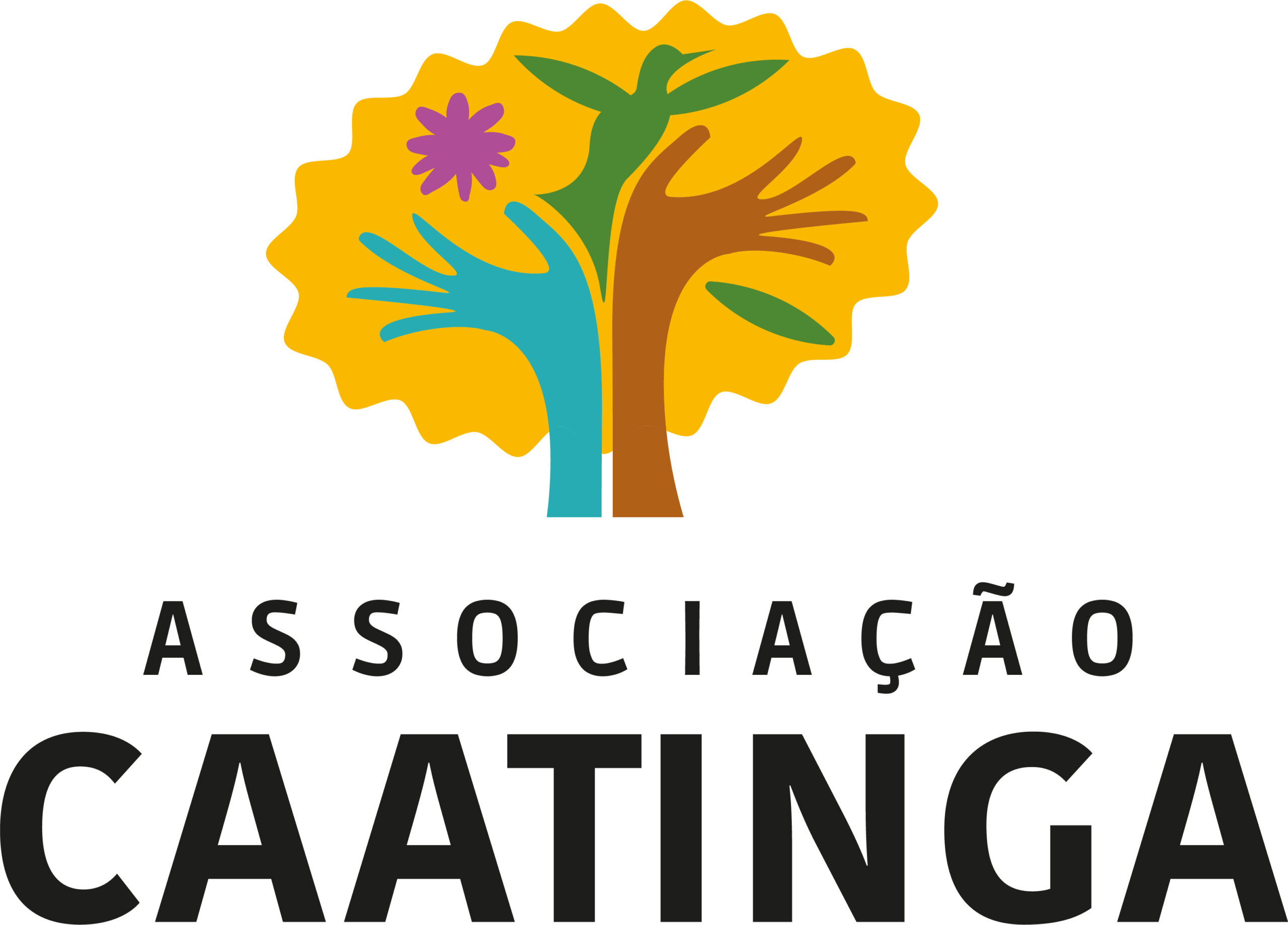 Associação Caatinga lança nova identidade visual com representações dos elementos do bioma brasileiro 