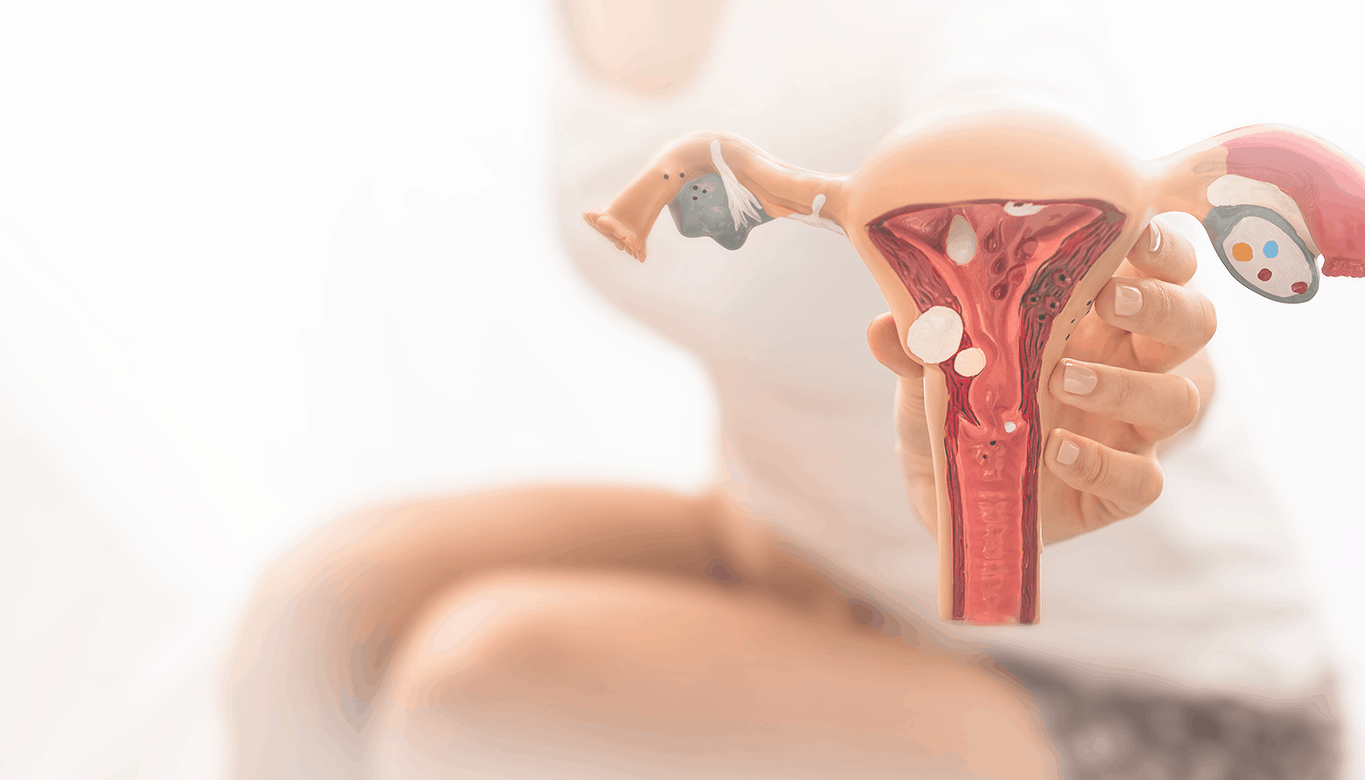 Fórum debate endometriose e seus efeitos em programação gratuita