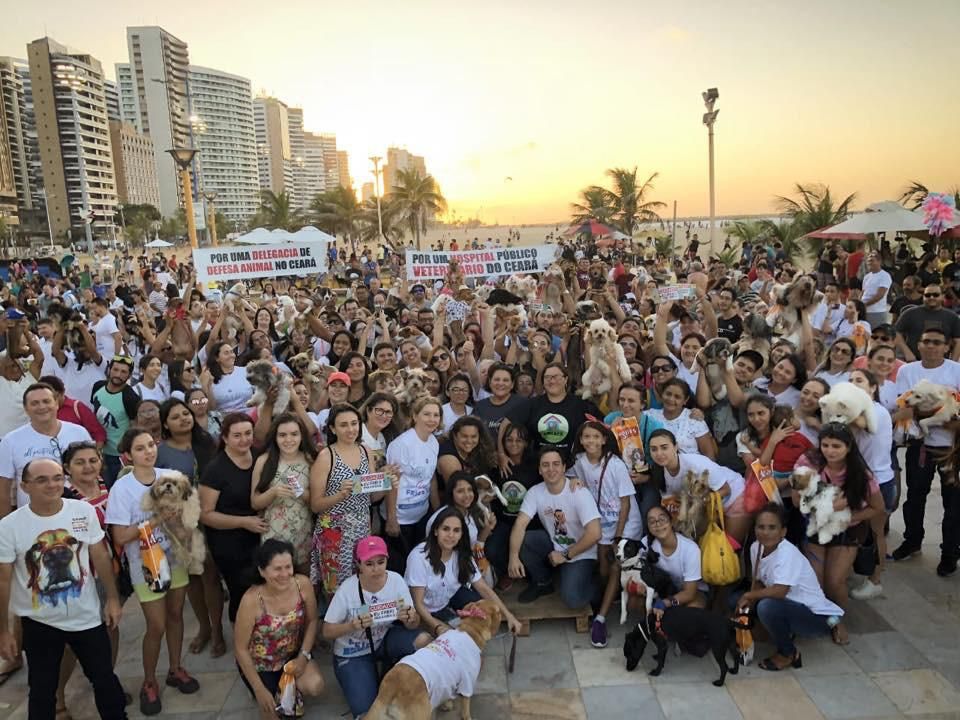 Maior evento da causa animal do Ceará, Cãomiada será realizada neste domingo (17) na Av. Beira Mar