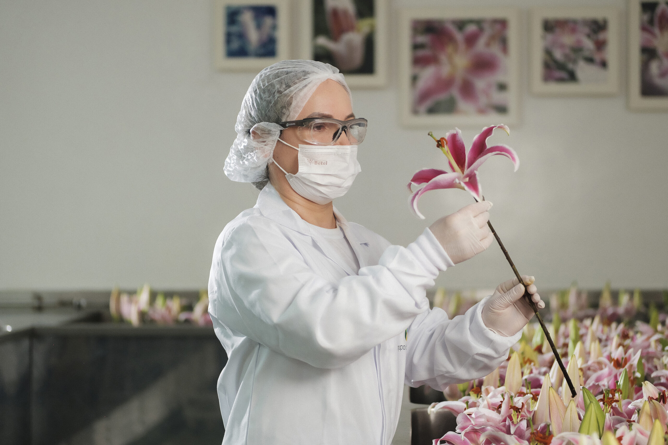 Corrente de mulheres incentiva protagonismo feminino em campanha de Lily Lumière, do Boticário