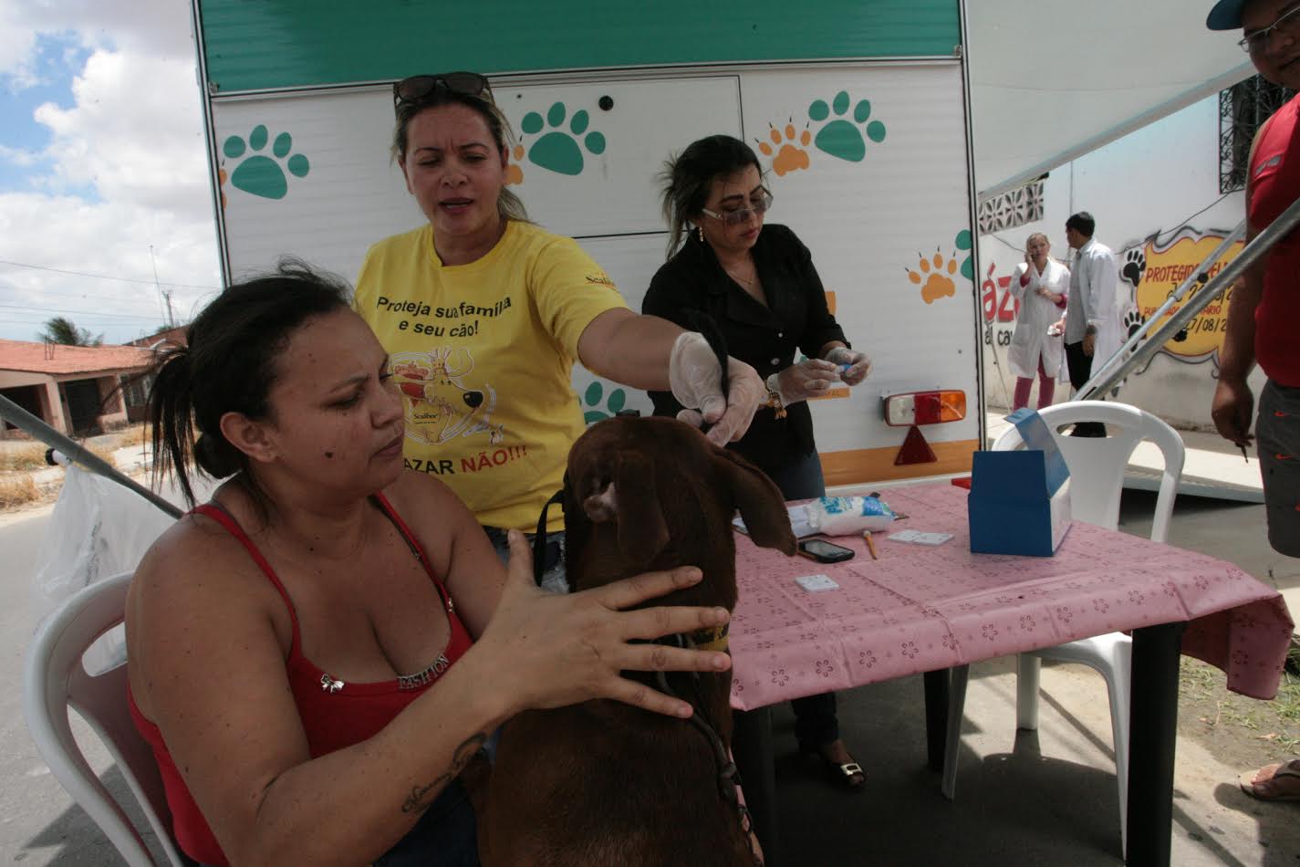 Raiva humana: Prefeitura alerta para doença infecciosa causada por animais silvestres e domésticos