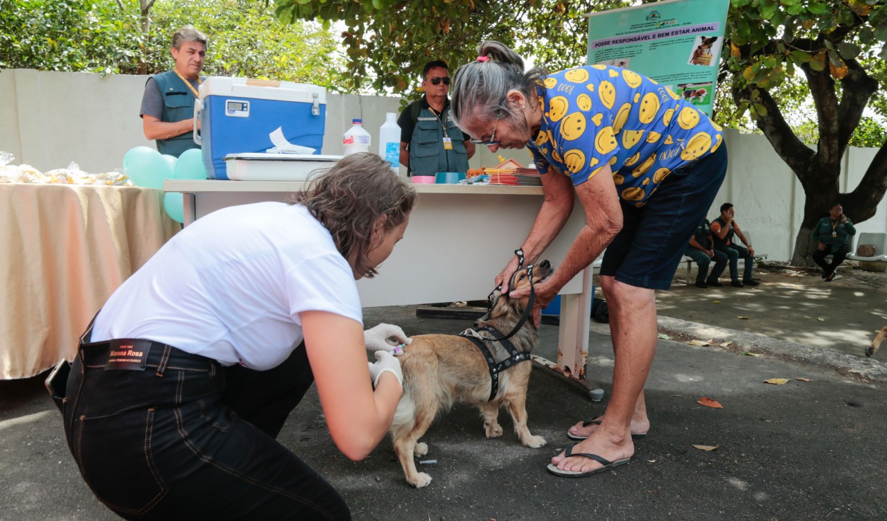 Prefeitura de Fortaleza encerra Campanha Antirrábica Animal com mais de 211 mil animais imunizados