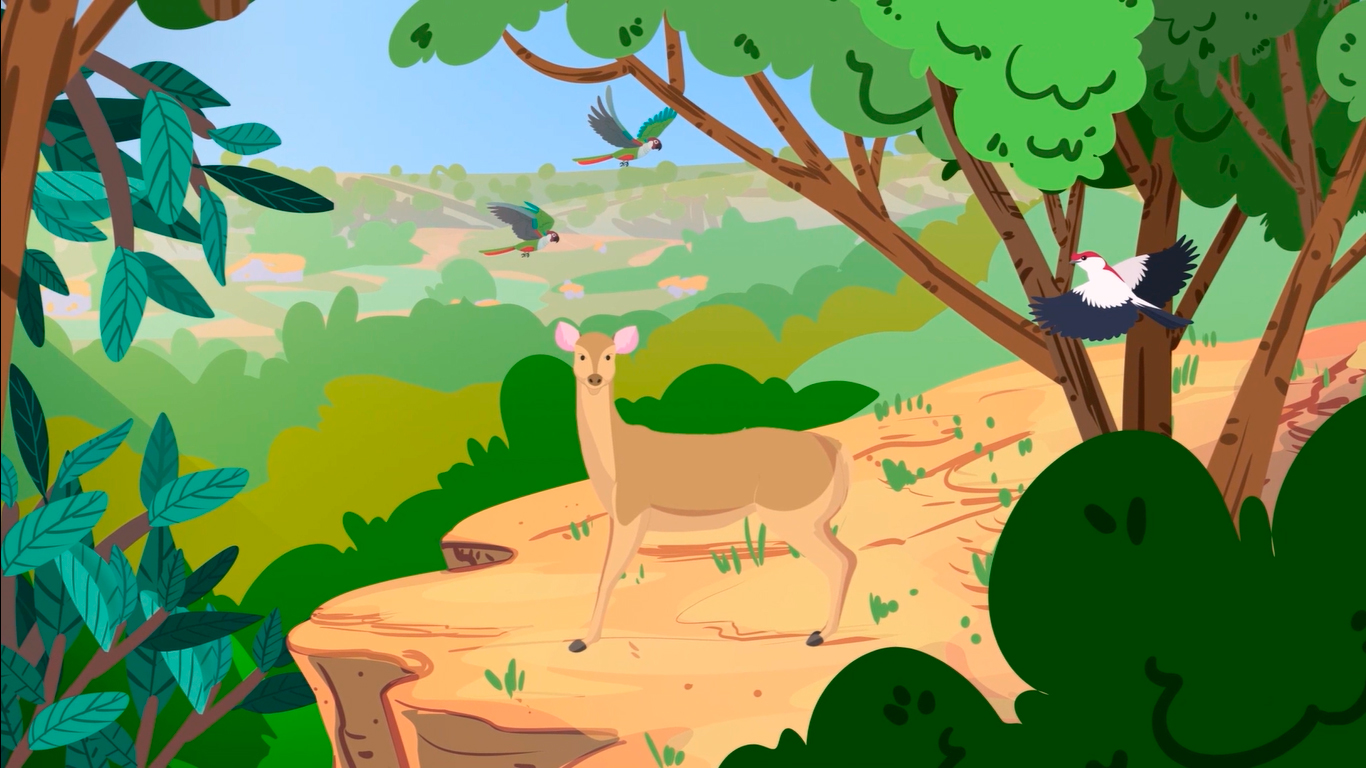 Associação Caatinga e Barong Anima lançam vídeo em animação como ferramenta para educação ambiental