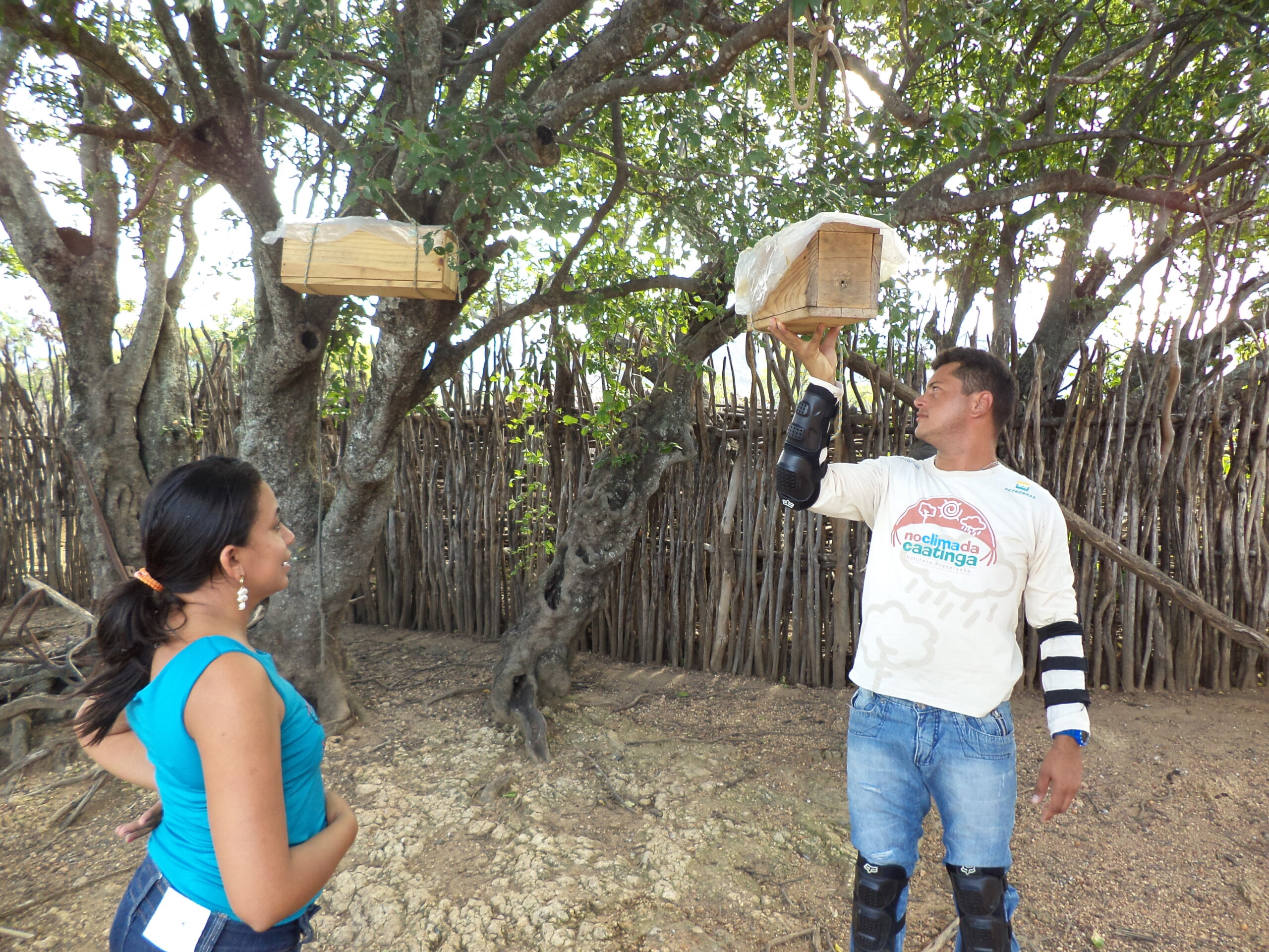 Na Semana do Meio Ambiente, Associação Caatinga destaca importância do trabalho dos meliponicultores