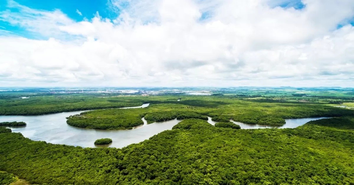 Instituto iungo, Instituto Reúna e Uma Concertação pela Amazônia lançam programa educacional sobre Amazônia para o Ensino Médio