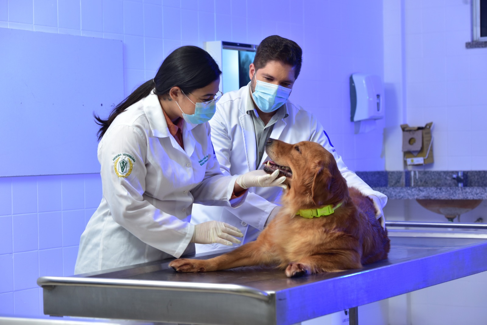 Unichristus inaugura Centro Veterinário com tecnologia de ponta e atendimento a preço popular