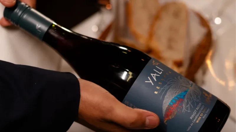 La Bella Italia apresenta nova carta de vinhos com rótulos de diversas partes do mundo