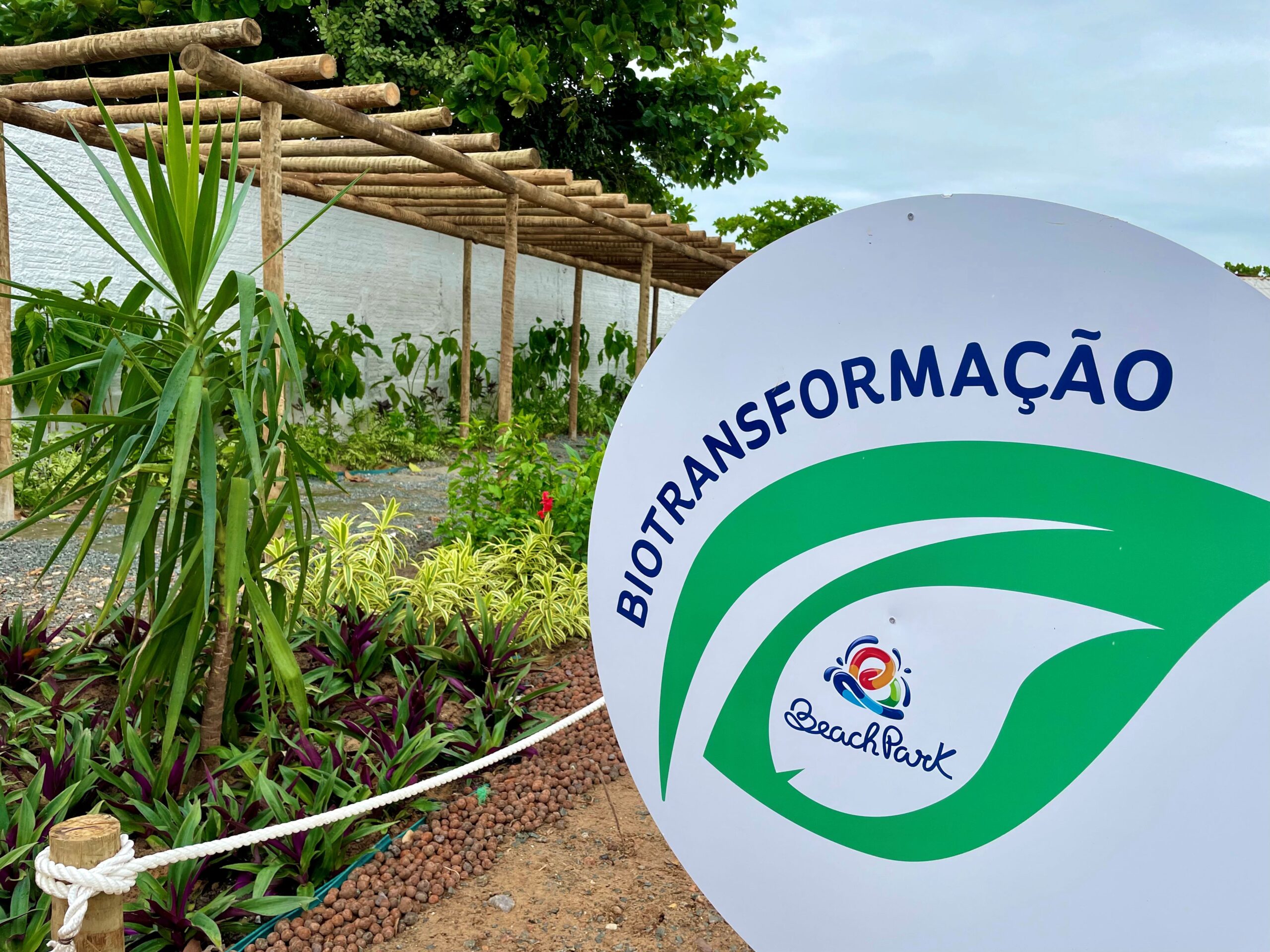 Beach Park amplia compromisso sustentável e compensa mais de 3.000 toneladas, referentes a todas as operações do complexo no ano de 2024