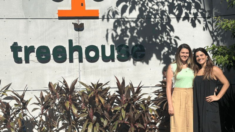 TreeHouse lança nova identidade visual e marca nova fase de crescimento